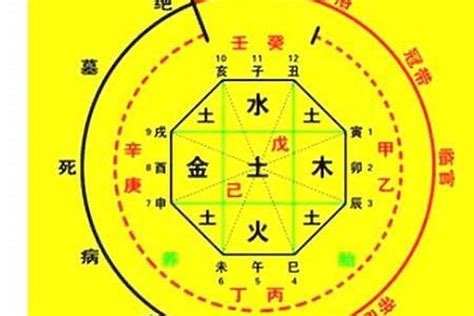 生成八字|生辰八字算命、五行喜用神查询（免费测算）